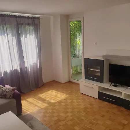 Apartament Lion *